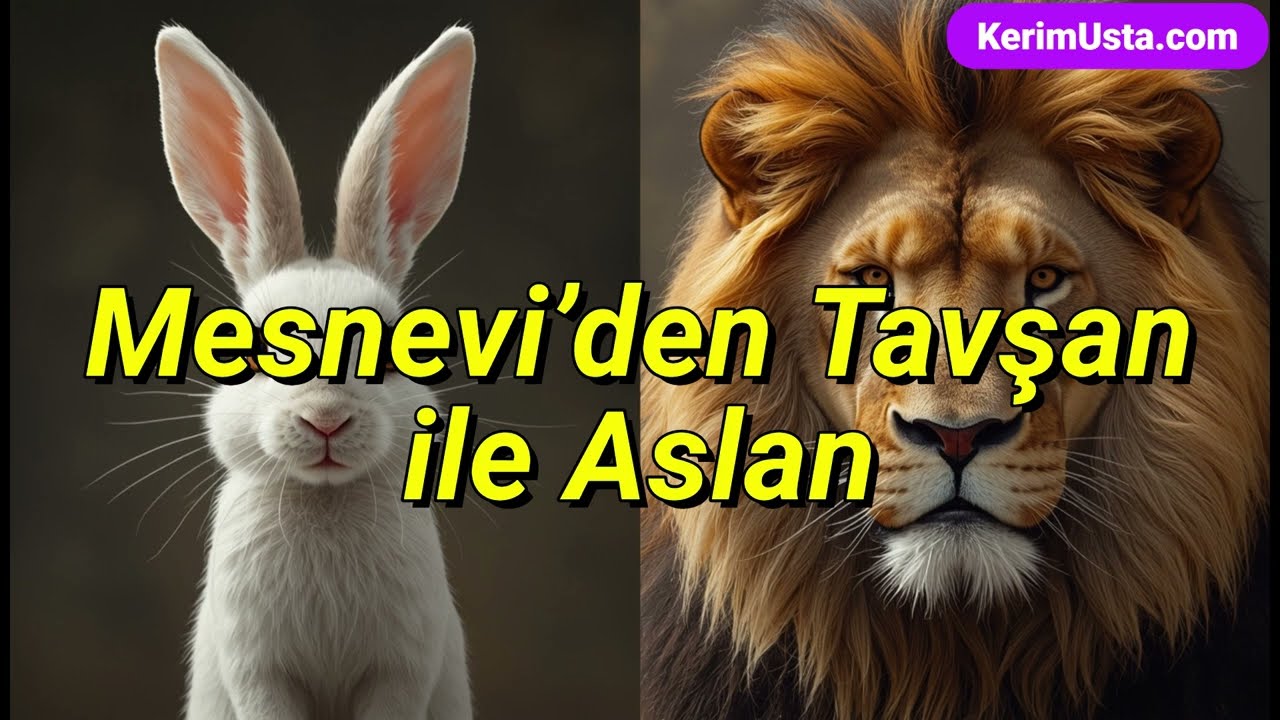 Tavşan ile Aslan | Mesnevi’den İbretlik Bir Hikâye
