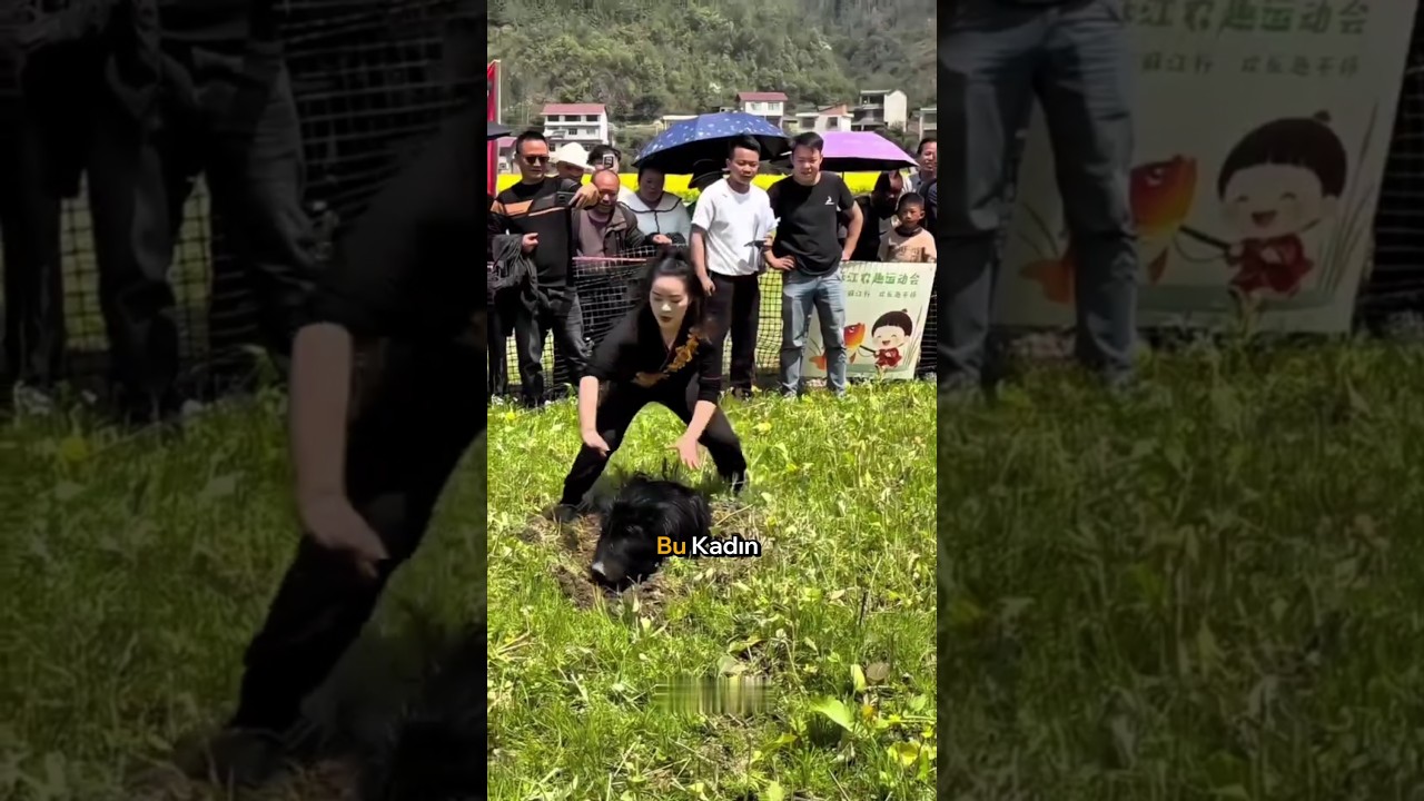 Kadın Domuzu Yakaladığı İçin 10.000 Dolar Kazandı..🐗🧎‍♀️