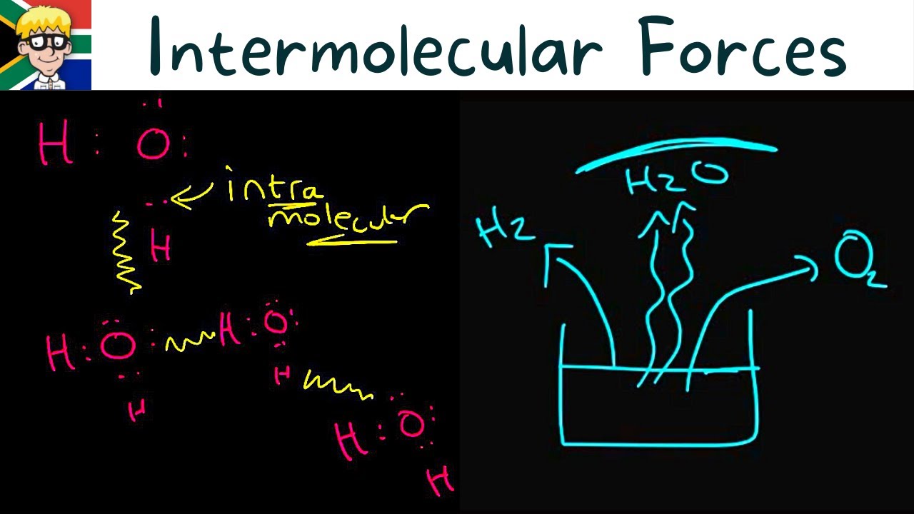 Intermolecular Forces grade 11: Introduction # 1