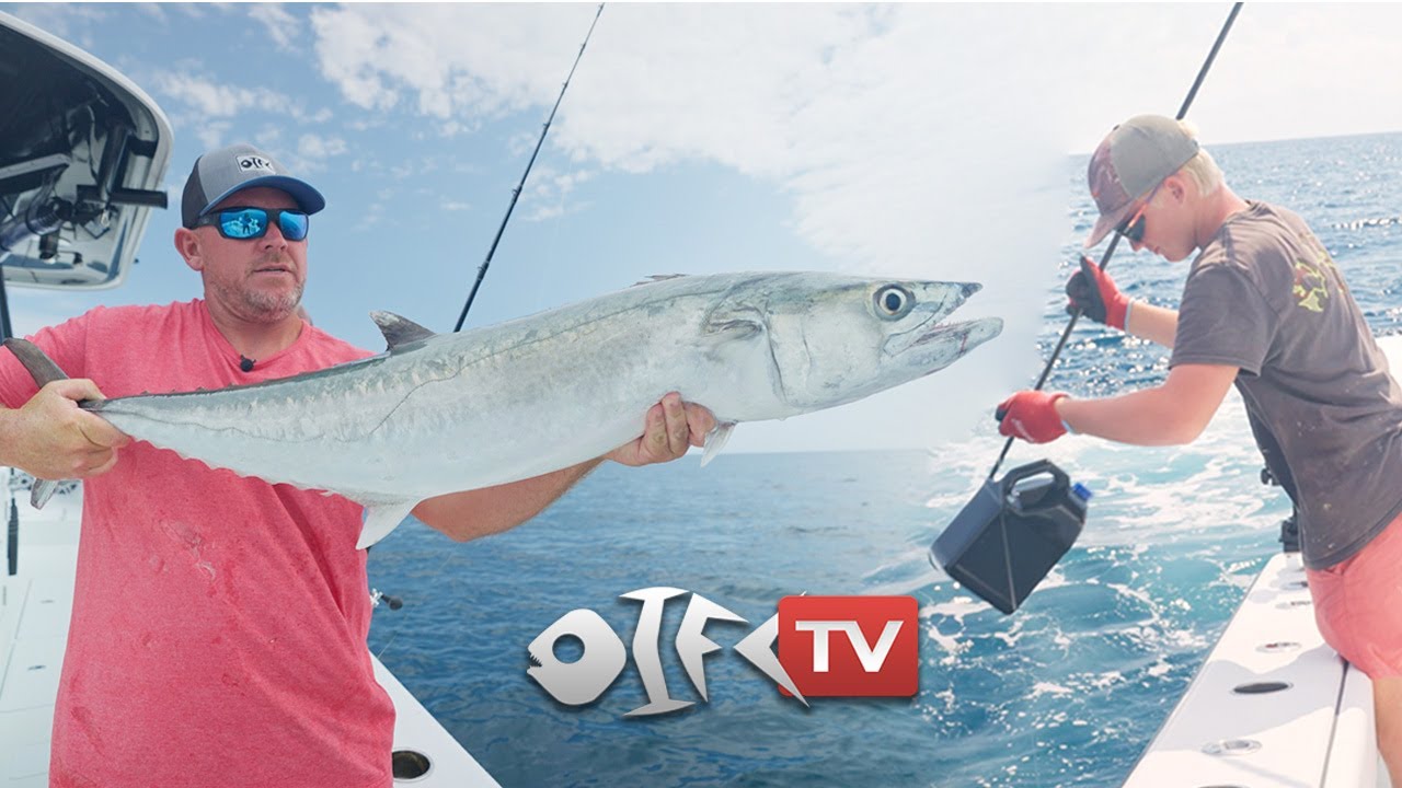 Fall King Mackerel Bite and Offshore HANDLINING Combat