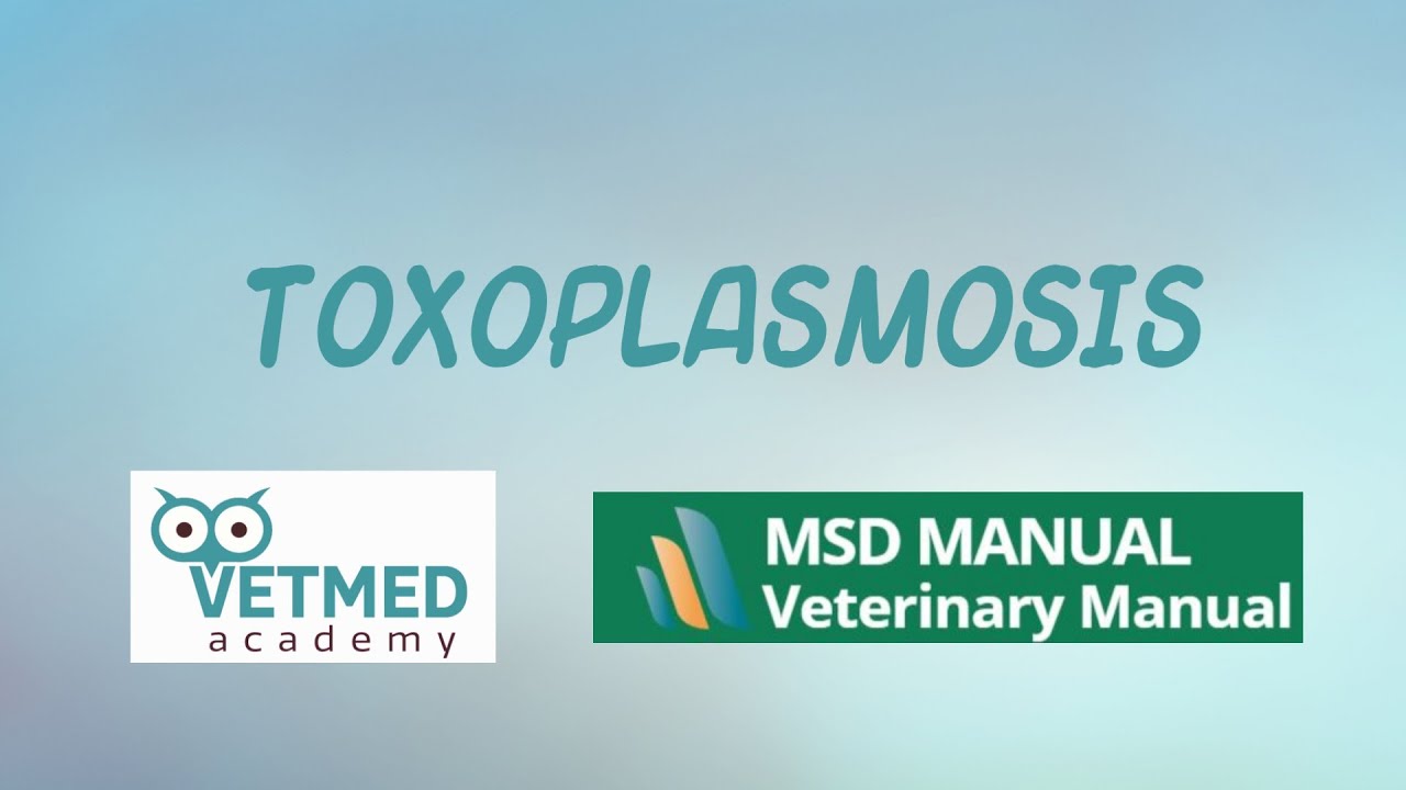 Toxoplasmosis
