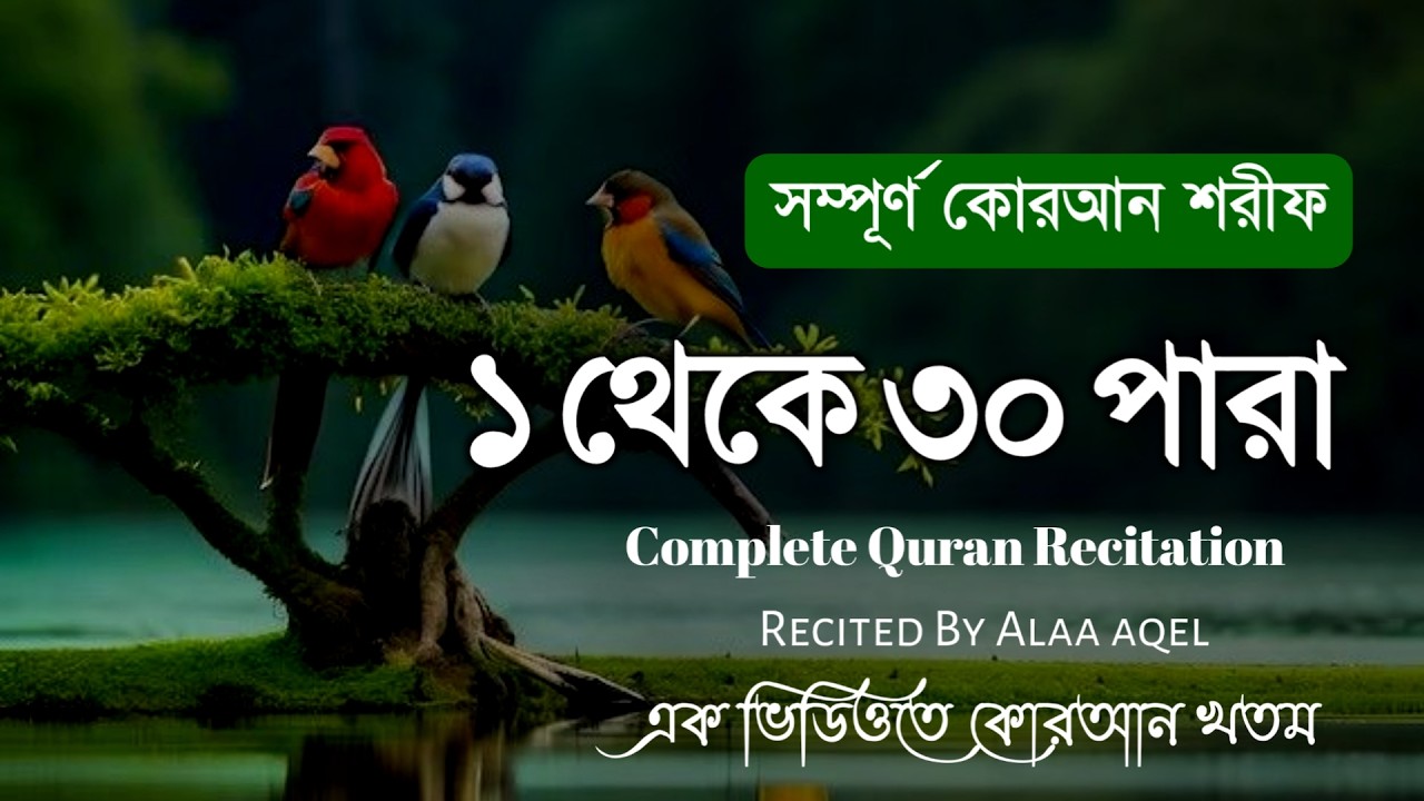 ১-৩০ পারা পূর্ণ কুরআন তেলাওয়াত | সম্পূর্ণ কুরআনের অসাধারণ সুললিত Tilawet Para  Full Quran Recitation
