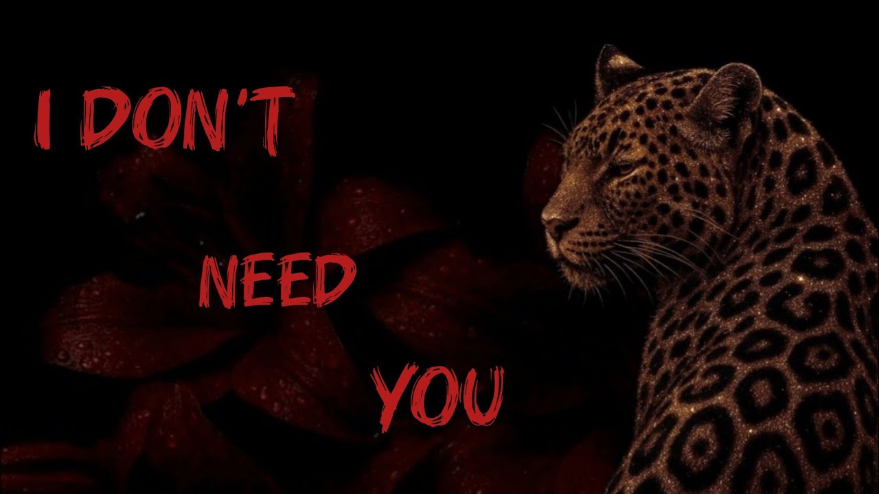 Elora - I Don’t Need You [ lyrics official  ]