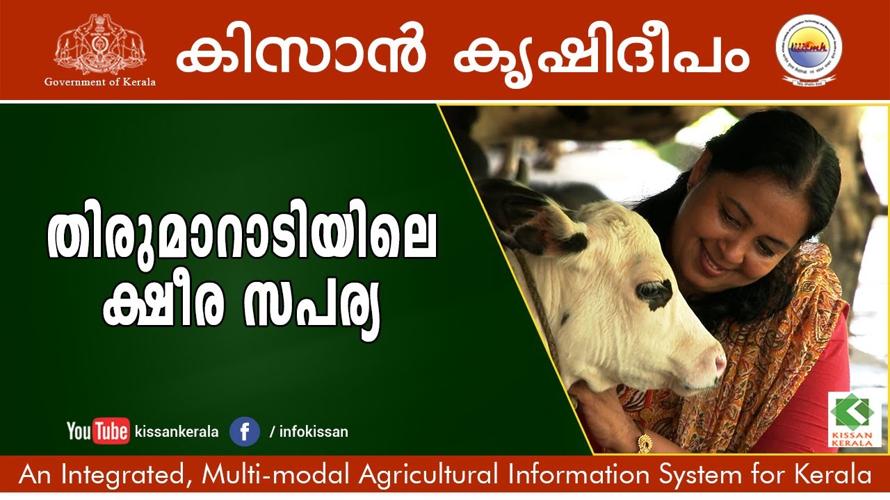 Kissan Krishideepam Episode - 1023 Part-1 A journey through the beautiful dairy farm of Sinu George