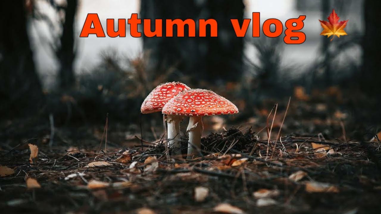 Autumn weekend Vlog / Annouska Tube