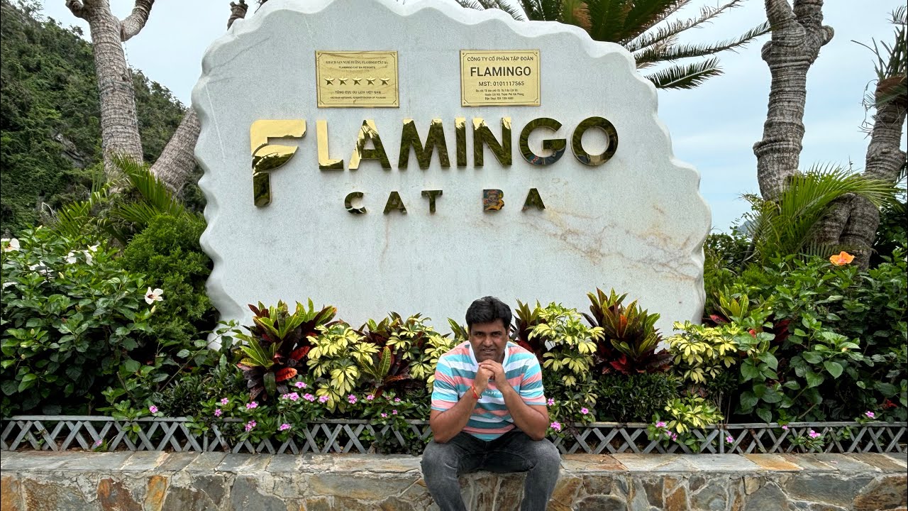 FLAMINGO CAT BA ISLAND - OFFBEAT VIETNAM 🇻🇳 | First Day in This Island