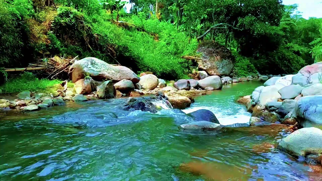 Relaxing River Water Sounds | Perfect for Sleep, Study & Stress Relief