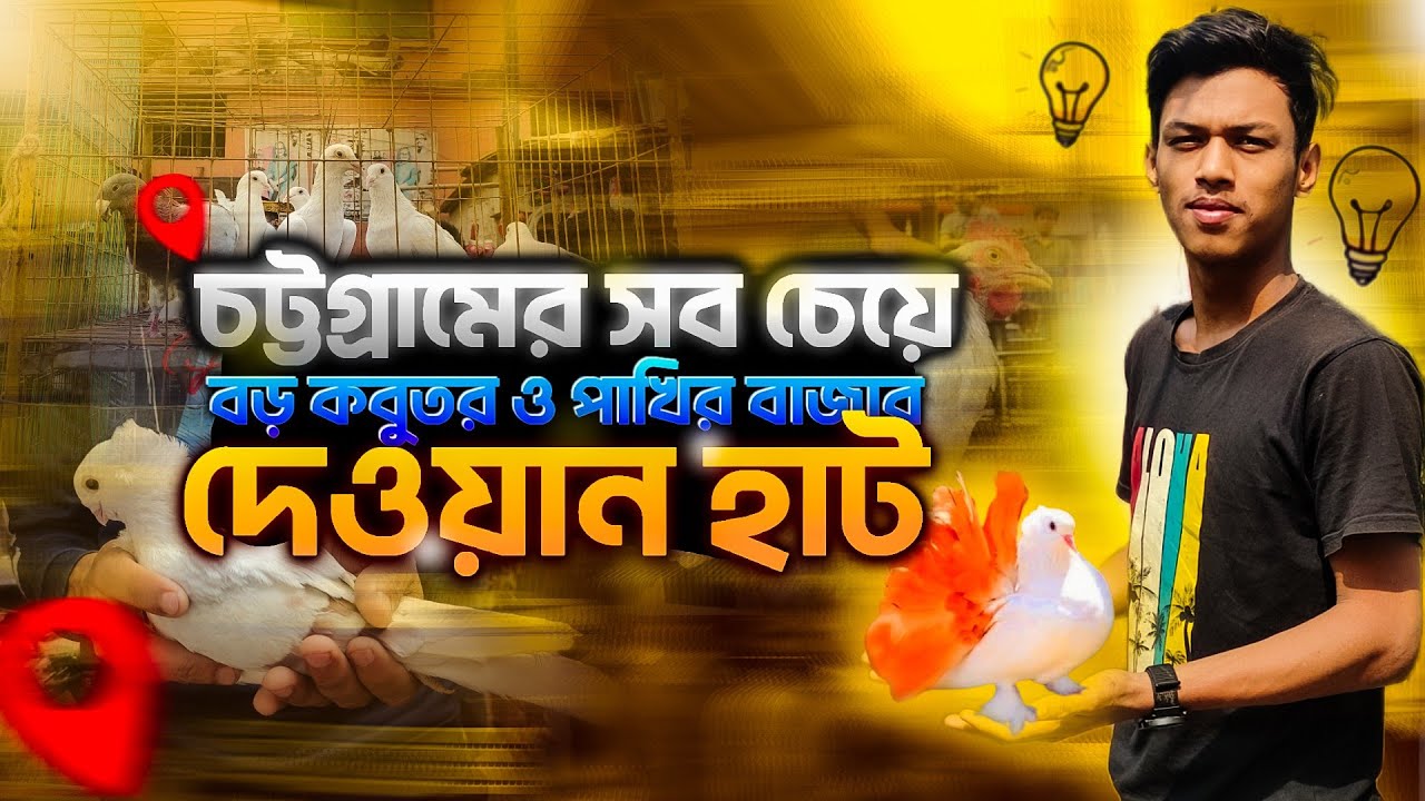 দেওয়ানহাট। সবচেয়ে বড় কবুতর পাখির বাজার।Chittainga Vlogger #vlog12 #viralshorts