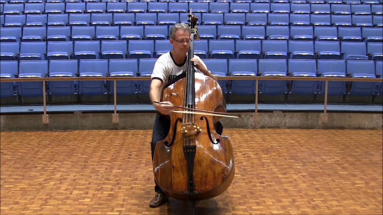 Béla Bartók: Concerto for Orchestra - Double Bass Excerpts