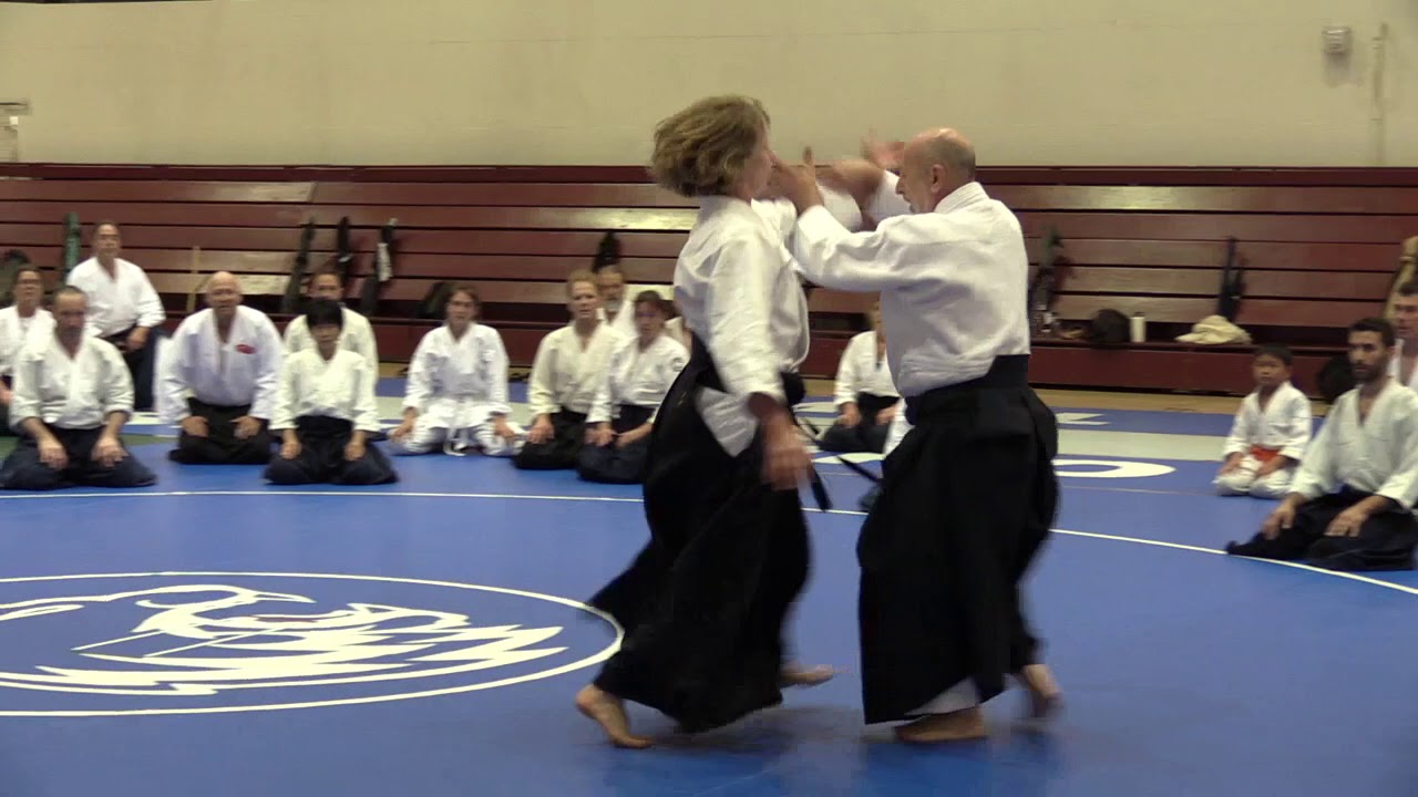 Birankai Aikido Summer Camp 2018 - D. Boyet, Class 2
