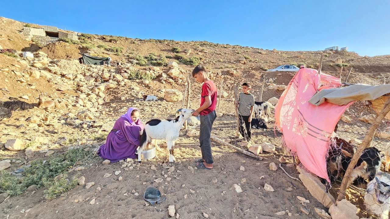 🌿The Hard Life of Nomads: Fatima's Struggle to Clean the Children, the House, and Do Daily Tasks