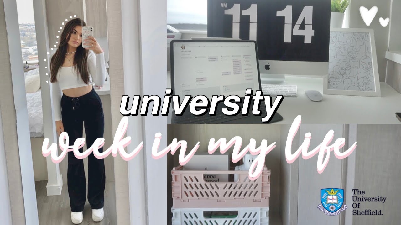 first year university student weekly vlog (university of sheffield 2021)