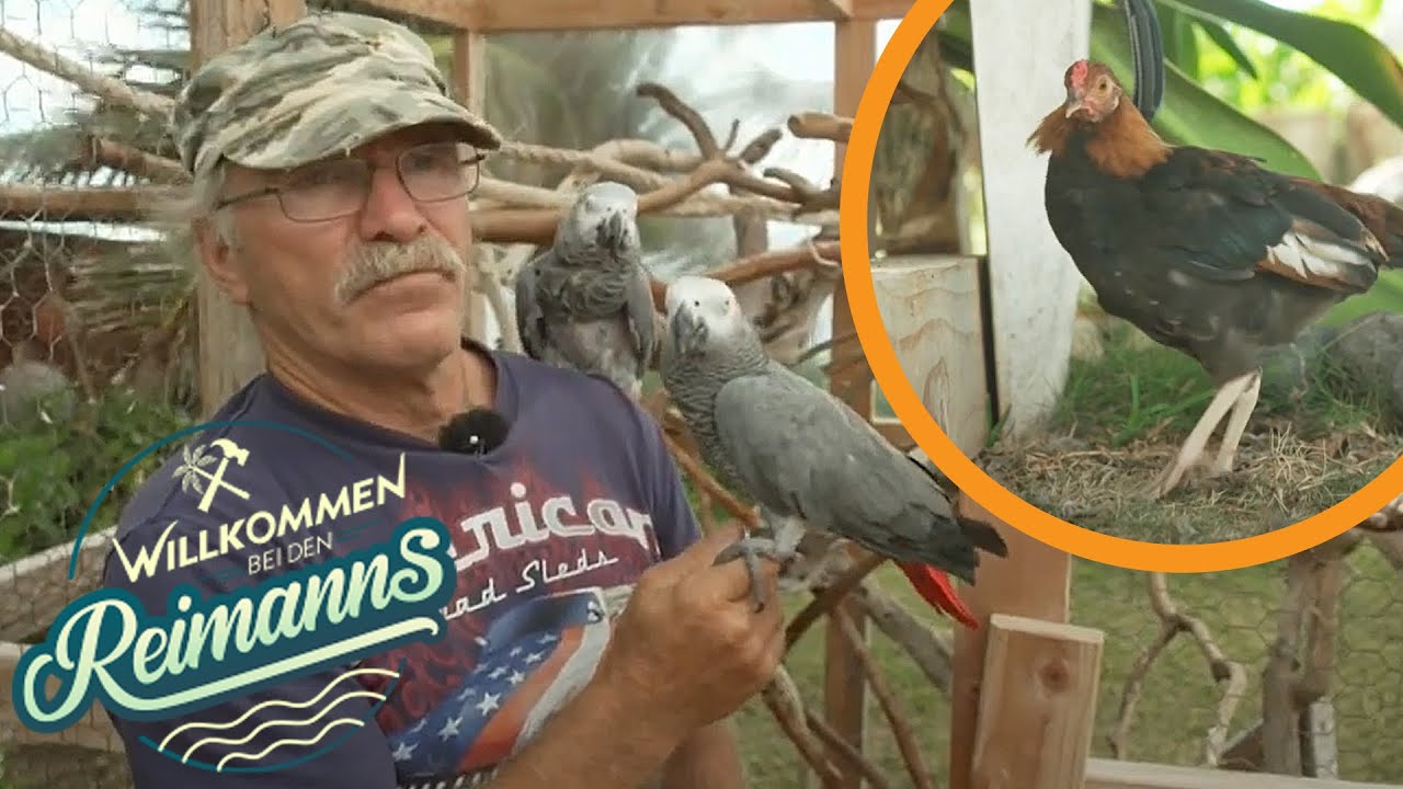 Ein tierisches Vergnügen: Konny, Manu und ihre Vögel! | Willkommen bei den Reimanns | Kabel Eins