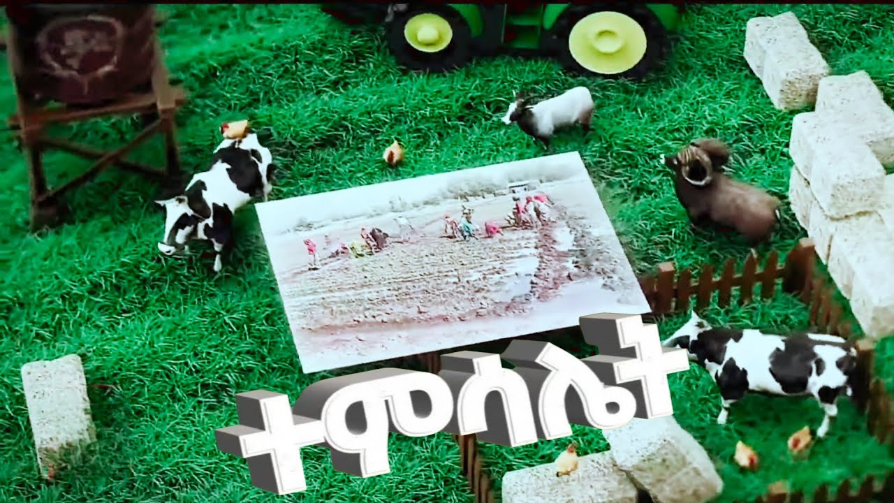 ተምሳሌት! የኤልፎራ የግብርና ጉዞና ስኬቶች!