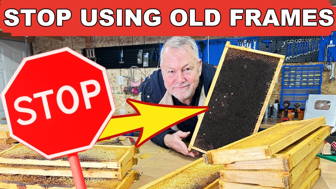 Beekeeping NEVER Ends Well When Using Deadly Old Frames