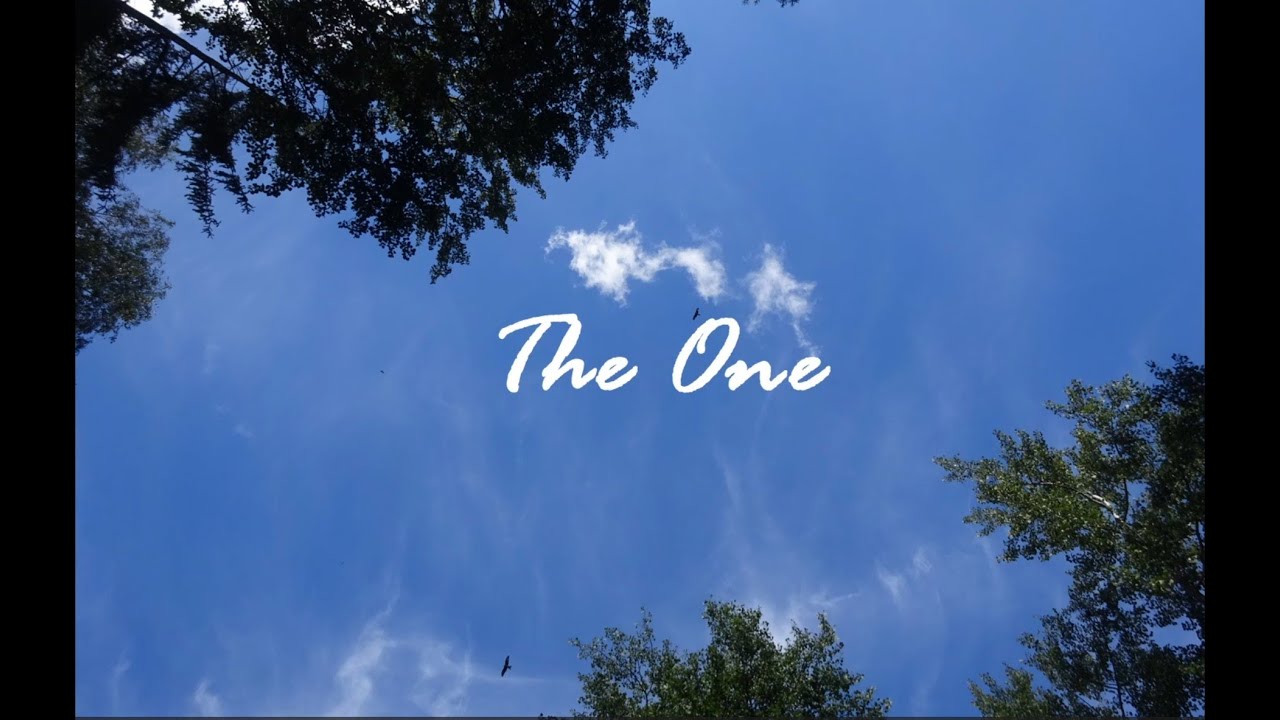 Slfm ~ The One (Official Lyric Video)