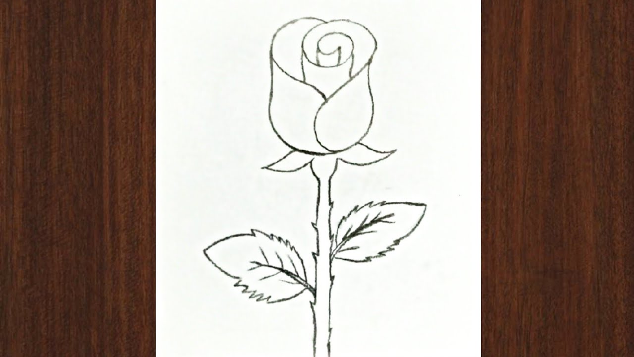 Rose Drawing Easy | How to draw a Rose Easy draw tutorial