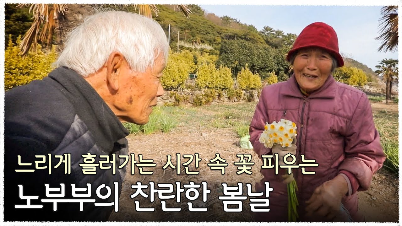 거제 바다를 앞마당 삼은 노부부의 낙원, 50년 세월 맨 몸뚱이와 연장 몇 개로 일구어낸 공곶이 수선화 정원 | 한국기행 - 봄, 봄이 오면