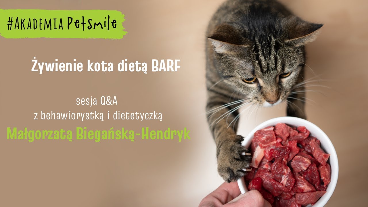 Żywienie kota dietą BARF - sesja Q&A z tech. wet. Małgorzatą Biegańską-Hendryk, Akademia PETSMILE