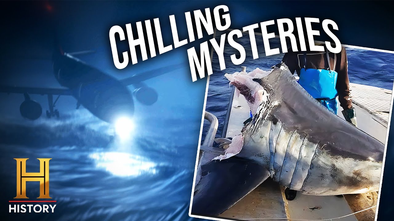 TOP 4 SHOCKING MYSTERIES OF 2024 | The UnXplained | History