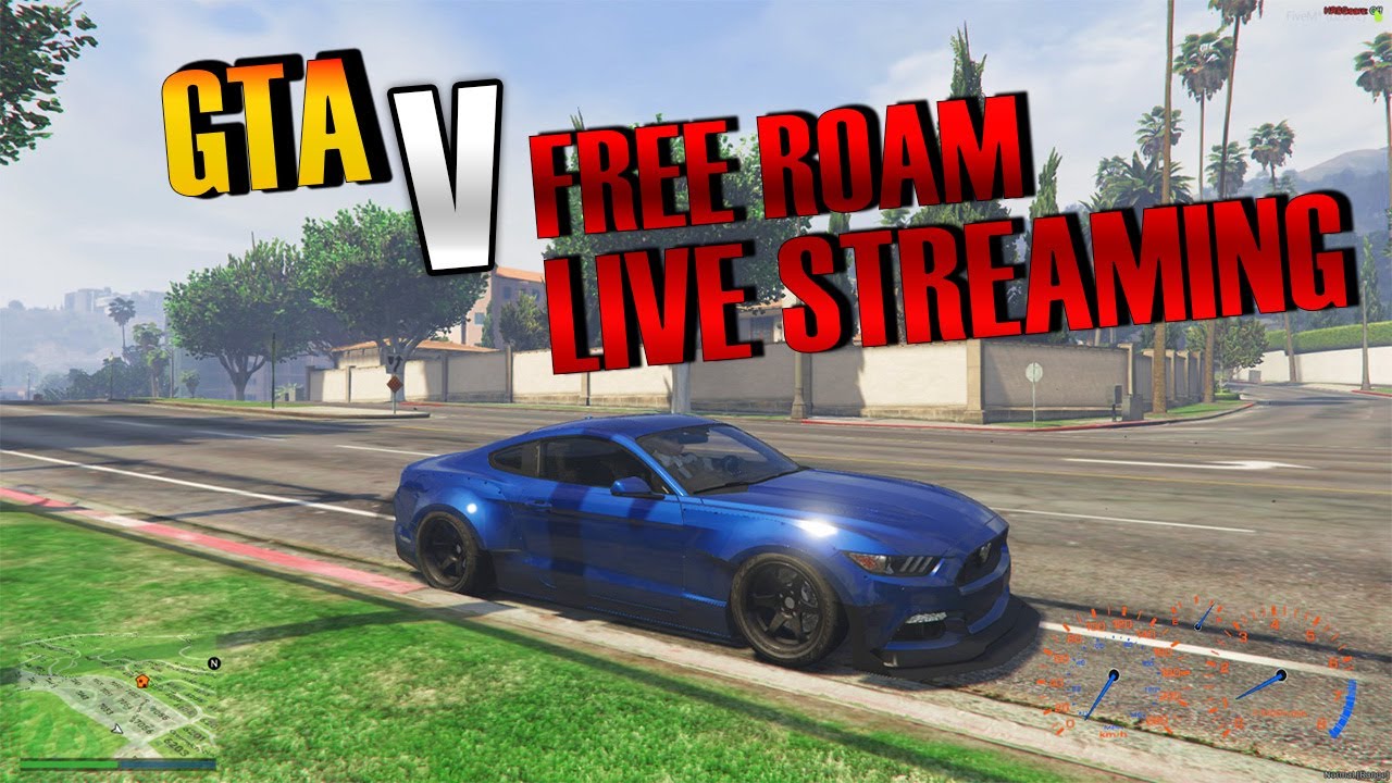 DAY #3 GTA V FREEROAM