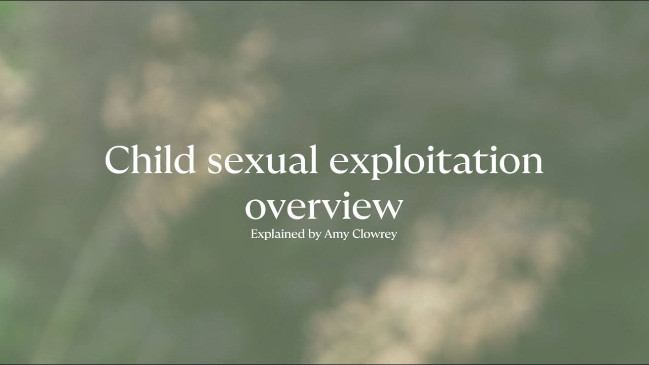 Switalskis Abuse Claims - CSE Overview