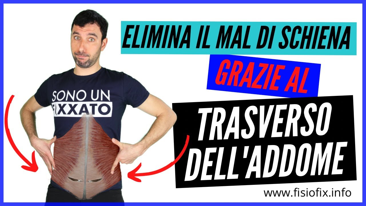 Trasverso dell'addome - Il muscolo che elimina il mal di schiena