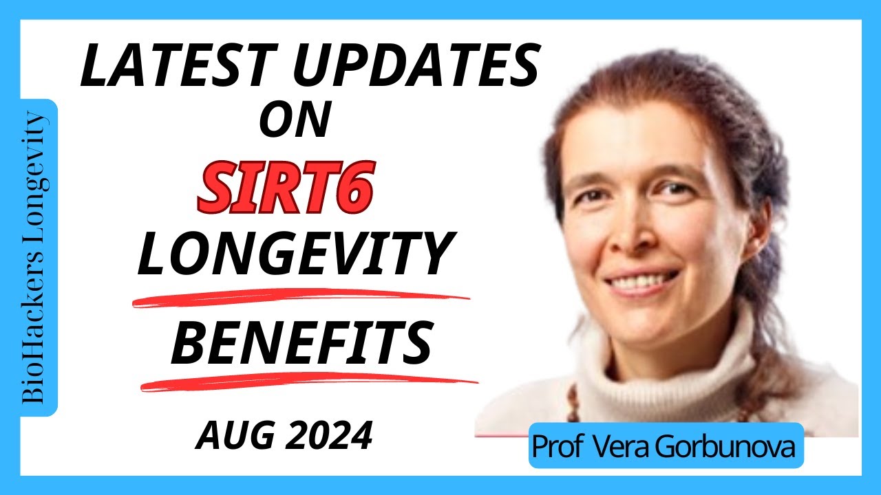 UPDATE: SIRT6 The most important Longevity Gene/ Prof Vera Gorbunova