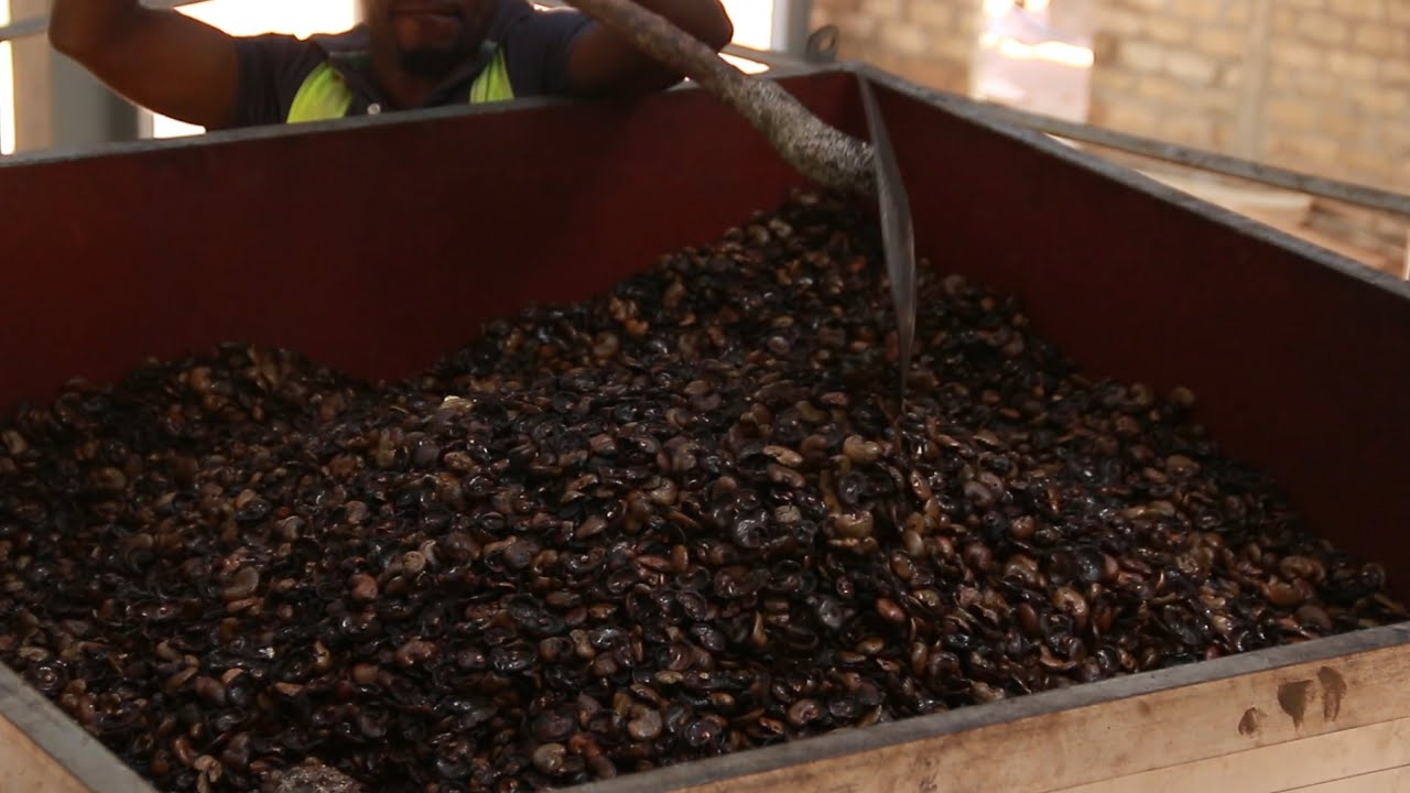 Vidéo sur la valorisation énergétique des coques de noix de cajou en Côte d'Ivoire