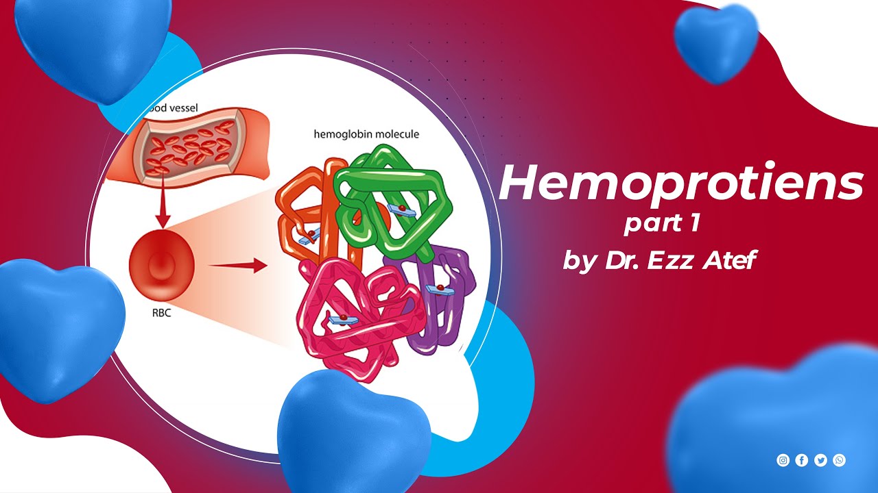 biochemistry - 2nd year - (1) Hemoproteins  part 1
