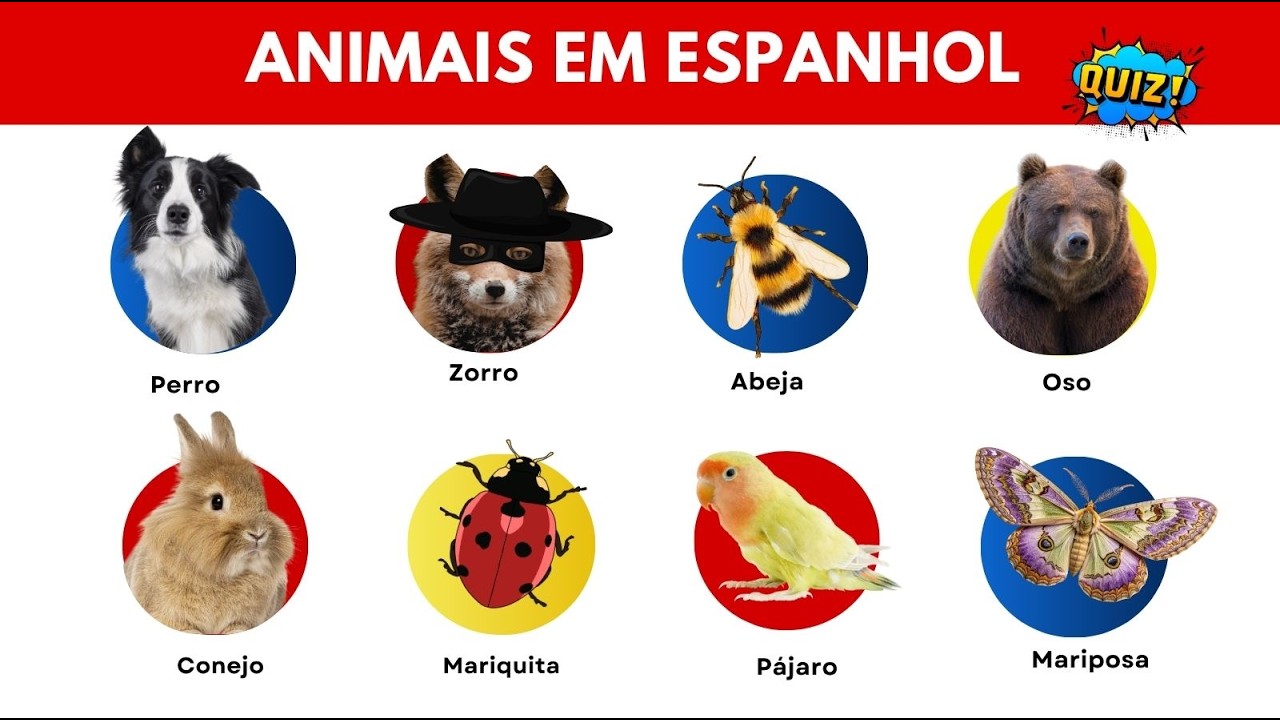 Você consegue acertar TODOS neste Quiz de Animais em Espanhol?