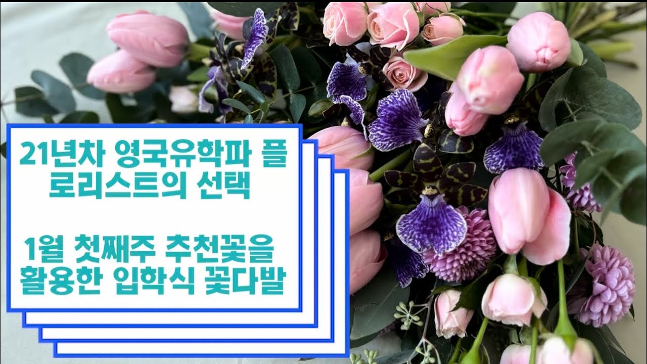 ❣️졸업식&입학식 꽃다발 만들기 _ 1월 첫째주 추천꽃 활용편 ❣️