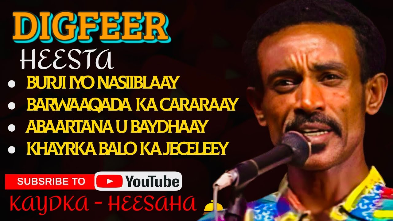 HEESTA| BUUGII SIRTA || AXMED YASIIN DIGFEER | 2024 LYRICS | HEES MACAAN |