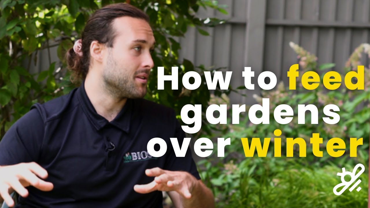 Answering community winter garden prep FAQs | Digging in with gardenstead Ep. 8 
