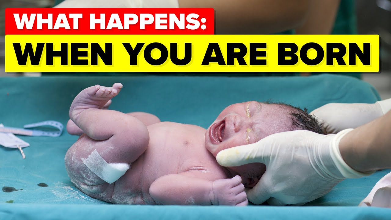 What Happens When You Are Born?