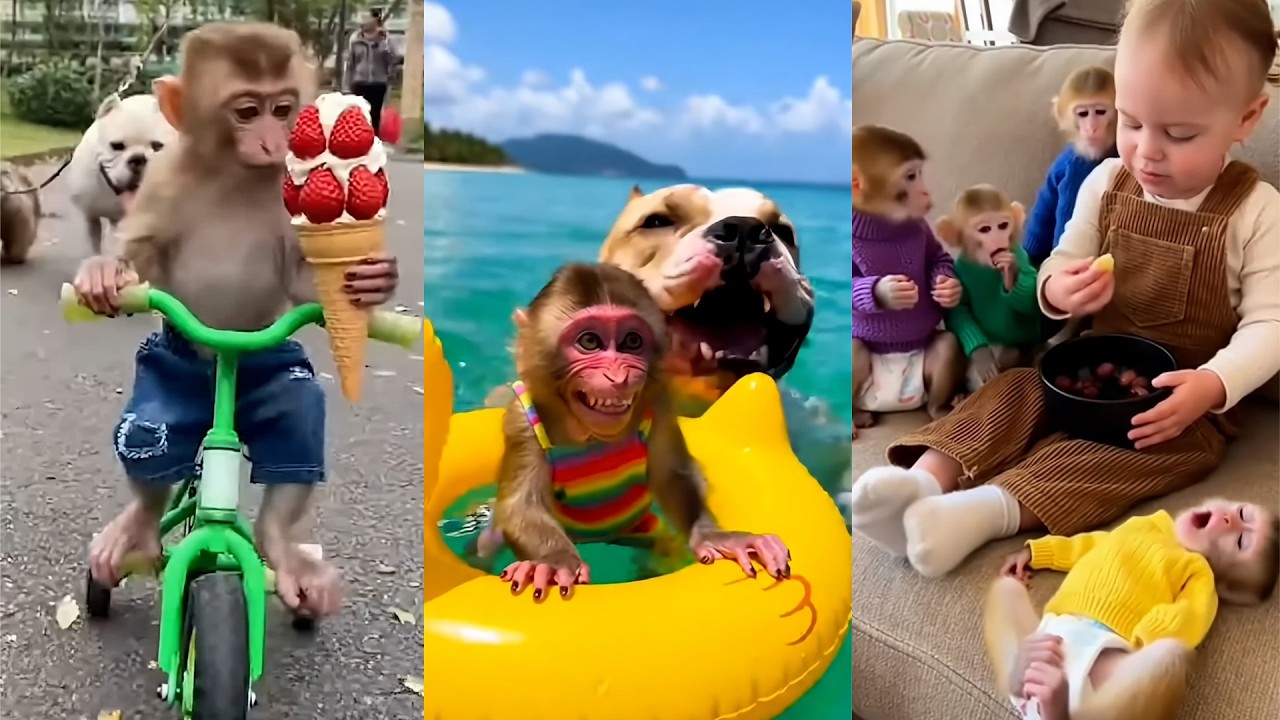 🍦🐒 Ice Cream Heist Gone Wrong 😂🐶 #IceCreamDrama #FunnyAnimals #MonkeyLife #DogPrank #8KVideo