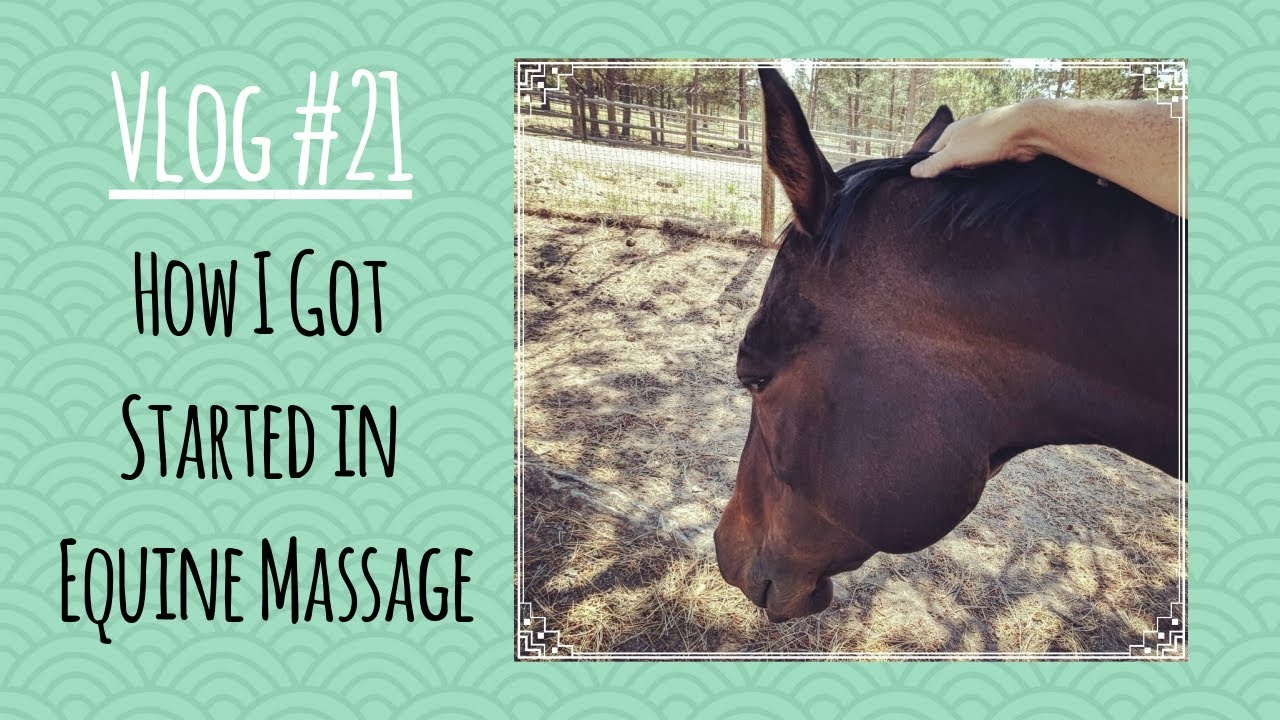 Vlog#21: How I Got Started in Equine Massage