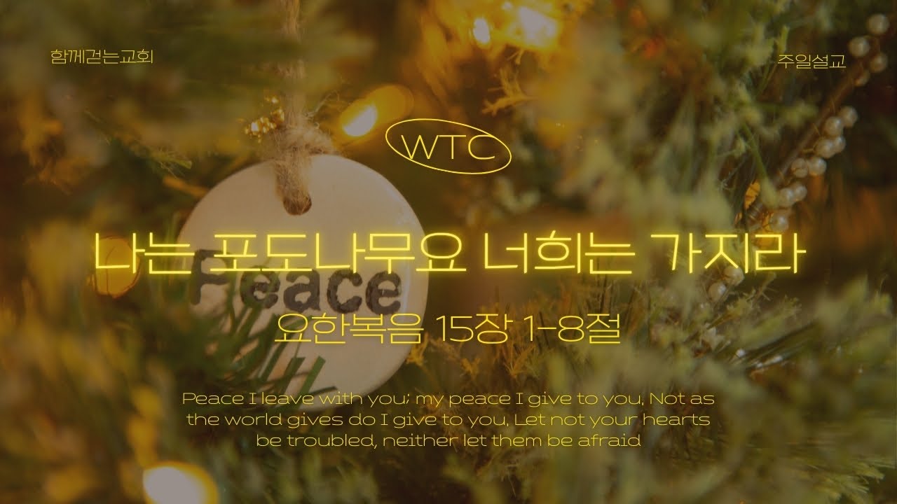 [2026년 2월 8일] 함께걷는교회 주일예배 | 요한복음 15장 1-8절 | 나는 포도나무요 너희는 가지라 | 유정훈 목사