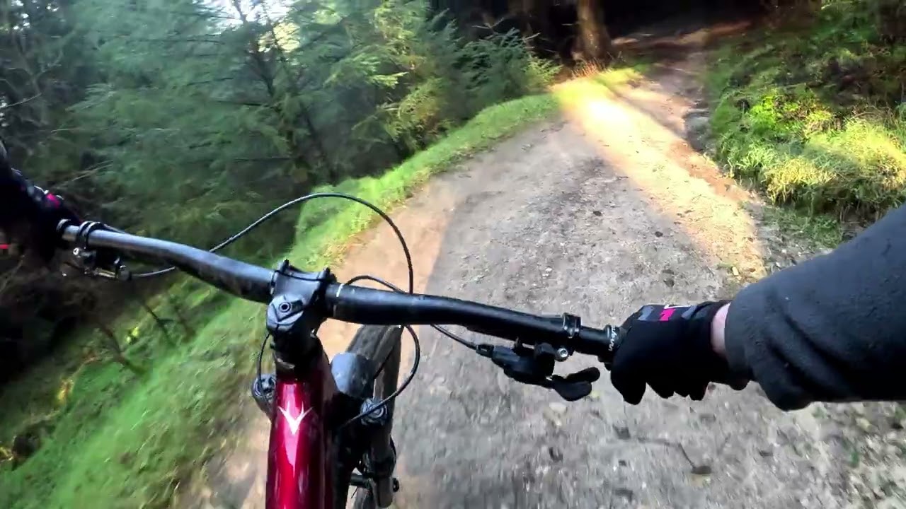 Downhill in Dalby January 2026