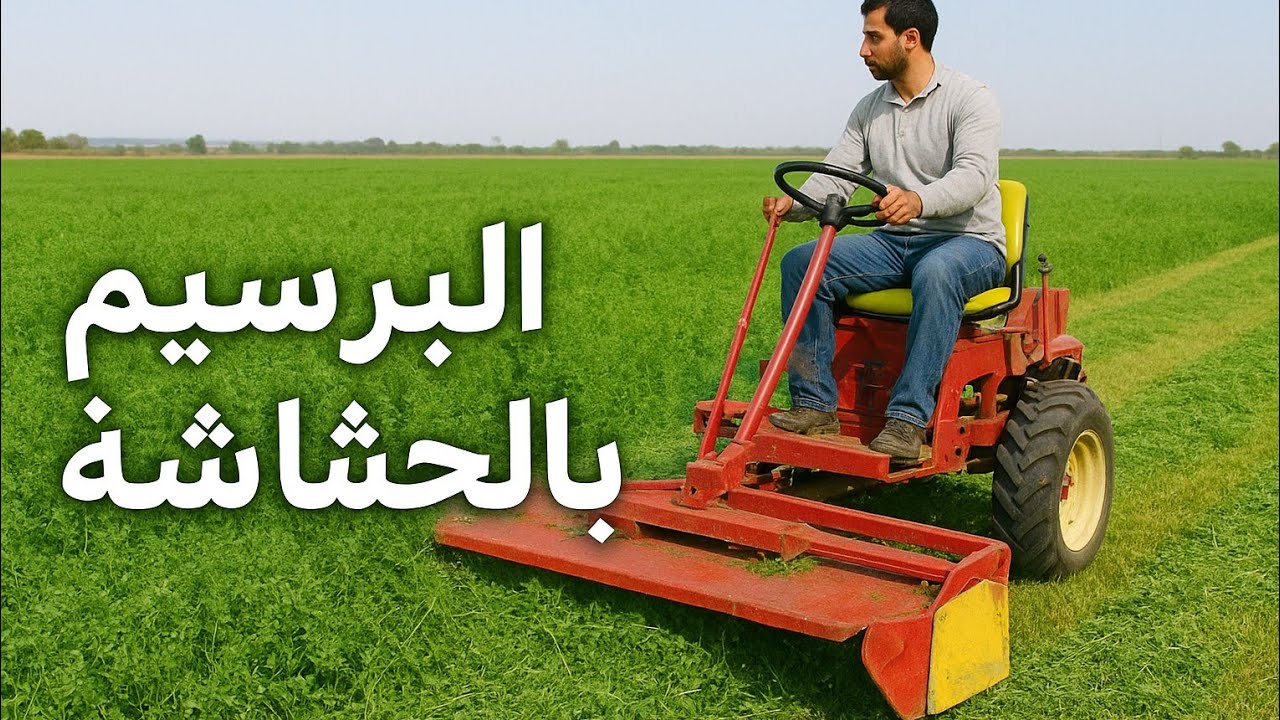 ازاي اوفر في العماله. حش البرسيم بالمكينه وفر وقتك ومجهودك  ١٠ أغسطس ٢٠٢٥