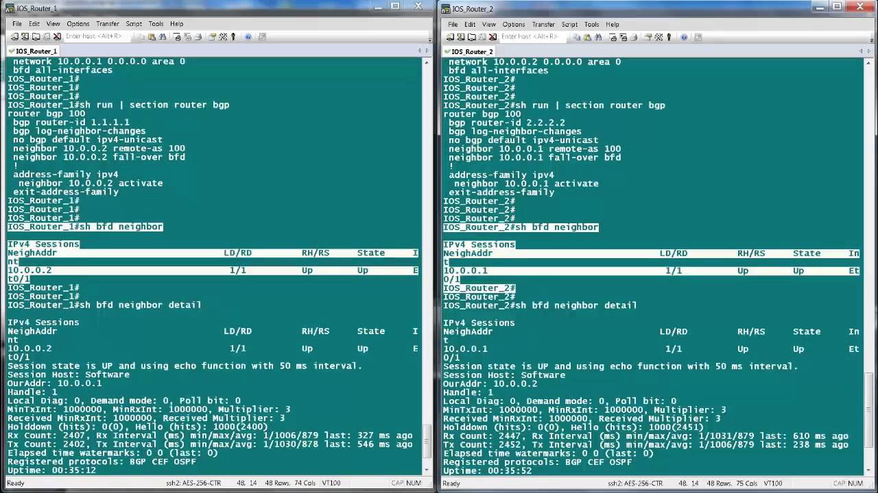 BFD Configuration and Troubleshooting on Cisco IOS and XR Routers