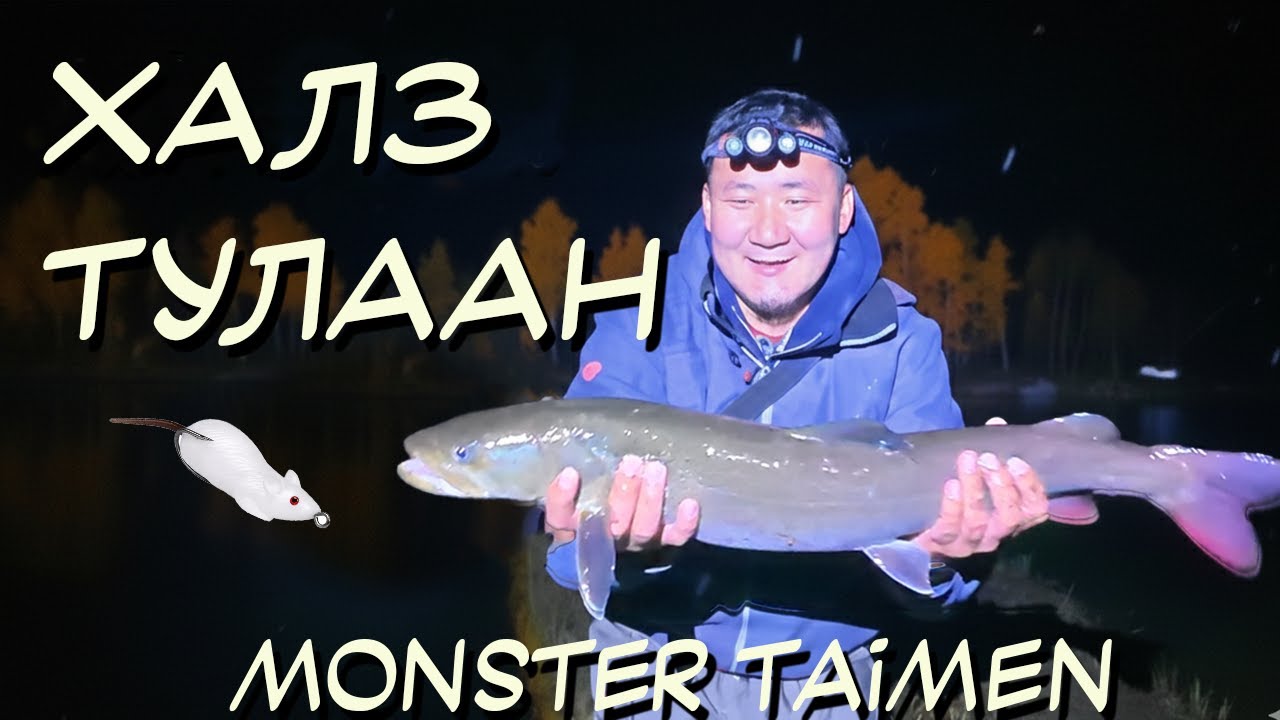 Найзтайгаа мөрийцөөд ХУЛГАНА-аар Тул барив! | I Bet My Friend & Caught a Taimen on a MOUSE!