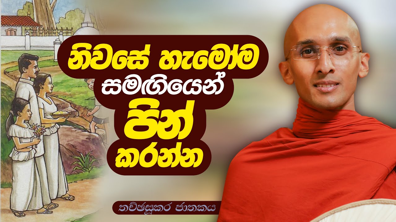 270. නිවසේ හැමෝම සමඟියෙන් පින් කරන්න | තච්ඡසූකර ජාතකය | 2024-02-24