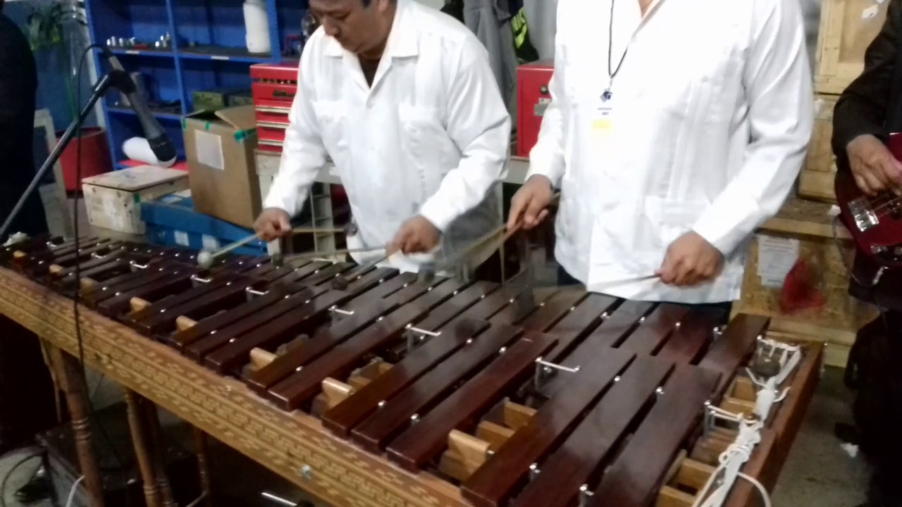Marimba CDMX DF whats 5534877454