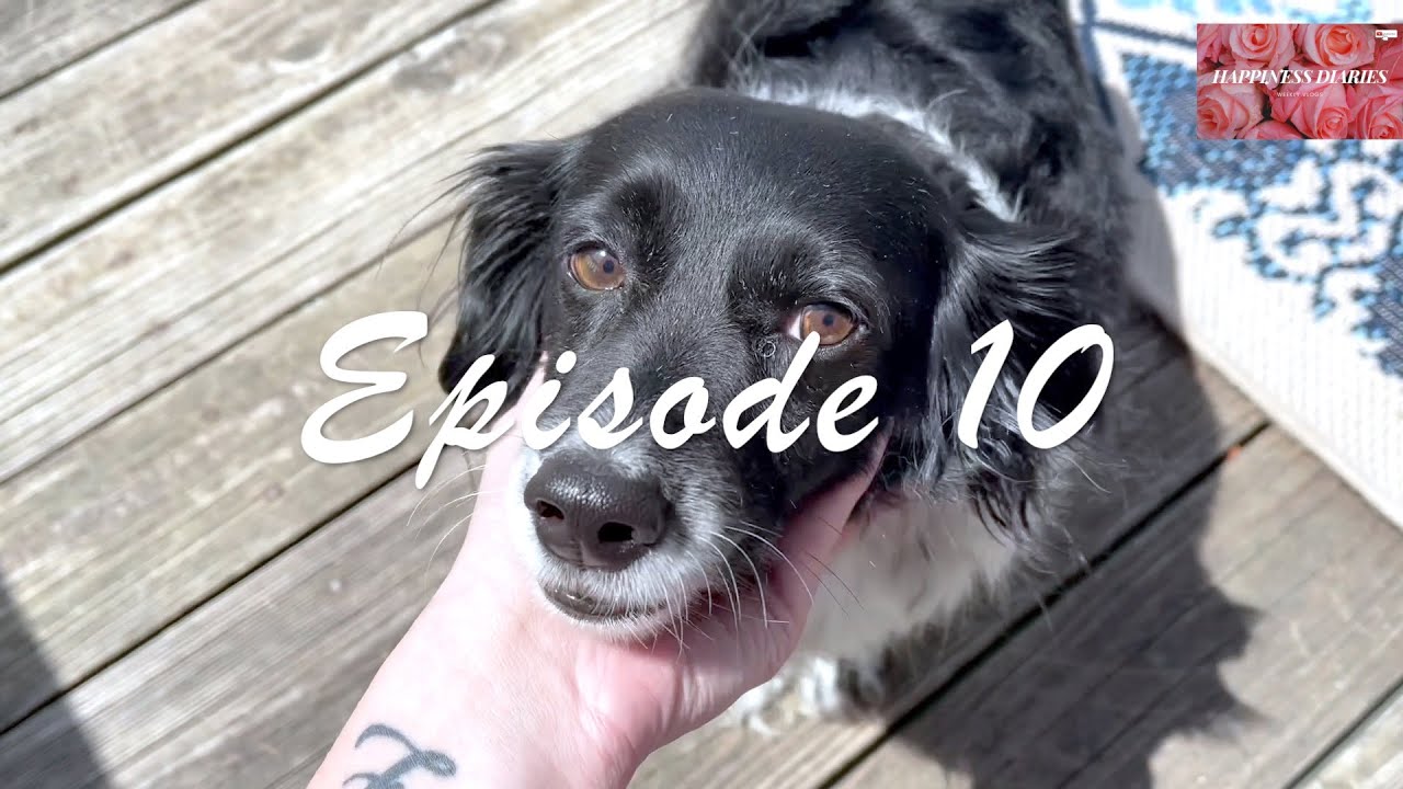 My Graduate School Experience | Episode 10