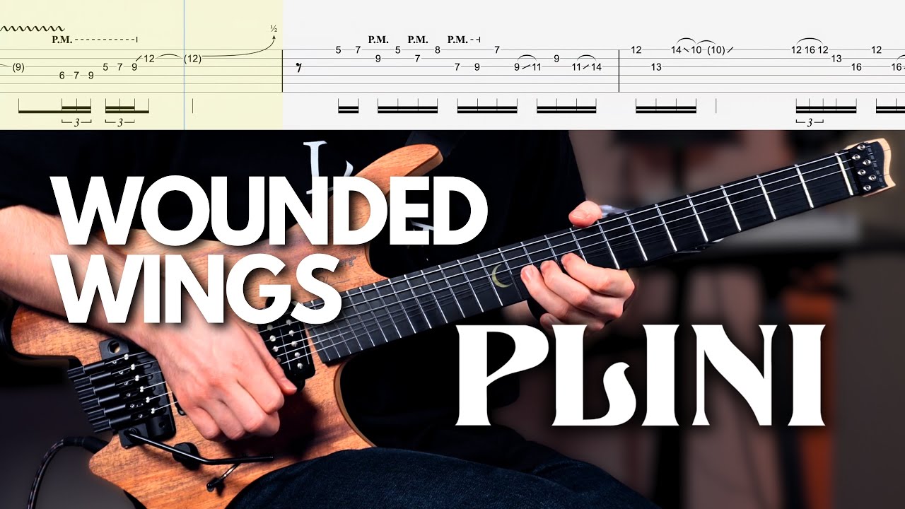 Daniel Tompkins feat. Plini | Wounded Wings | Guitar Solo + TAB