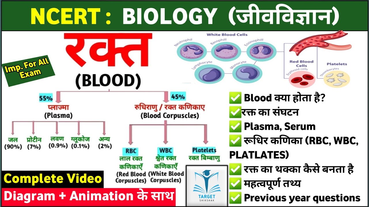 मानव रक्त | Human Blood (RBC, WBC, PLATLATES, PLASMA) BIOLOGY | Target Shikshak Academy