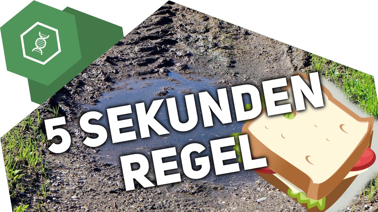 Stimmt die &bdquo;5 Sekunden Regel&ldquo;?!
