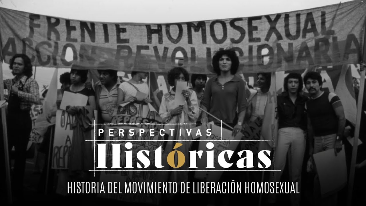 Perspectivas históricas | Historia del Movimiento de Liberación Homosexual