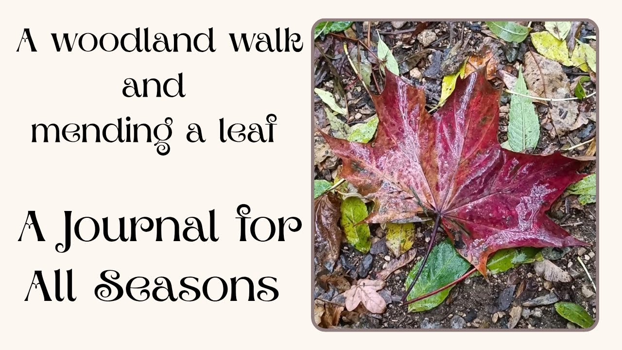 Прогулка по лесу со Стеллой, а затем возвращение домой, чтобы «починить» опавший лист ажурным швом.